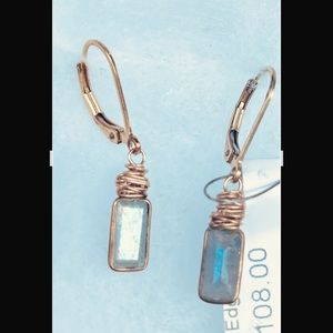 Cami Boutique Gold Edged Drop Earrings NWT